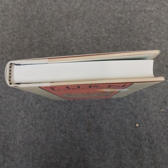 TURN: The Journal of an Artist - ANNE TRUITT - Viking, 1986 - FIRST PRINTING - Picture 5 of 5